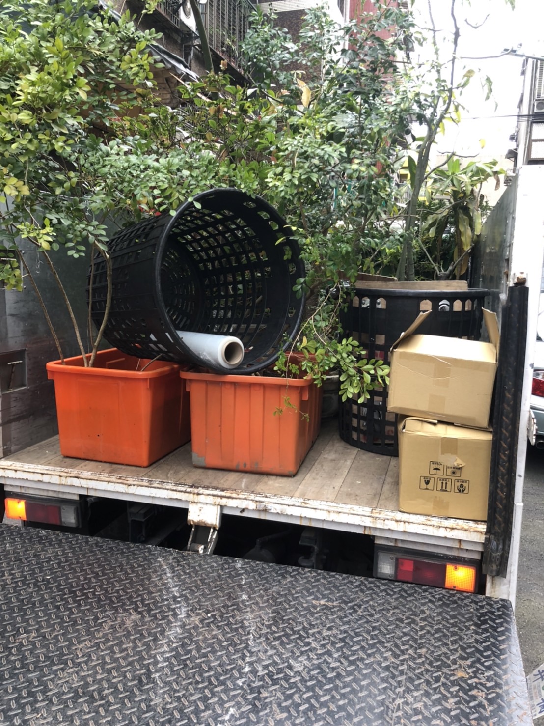 住家盆栽搬運